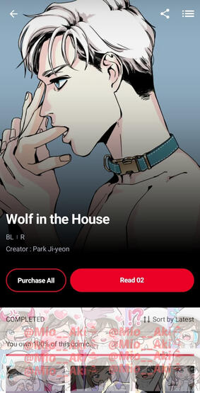 Wolf in the House